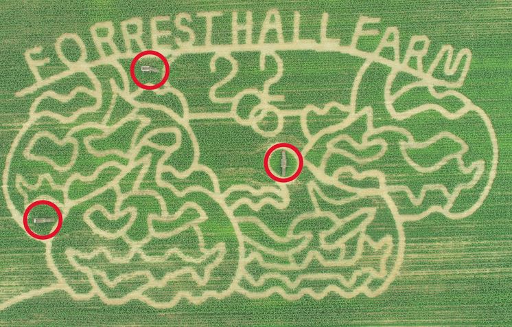 Forrest Hall Corn Maze 2020