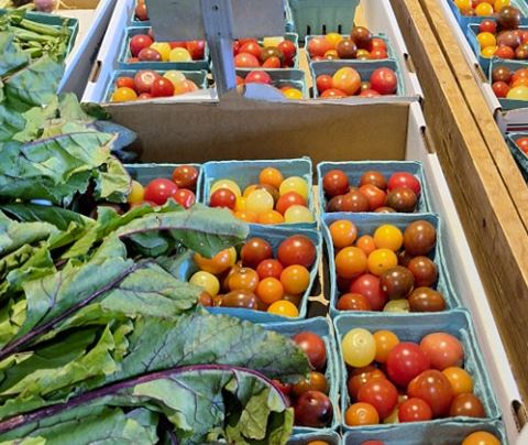 Forrest Hall Farm vegetables