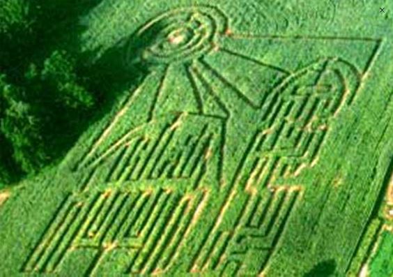 Forrest Hall Corn Maze 2019