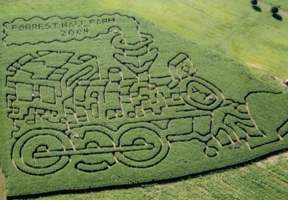 Forrest Hall Corn Maze 2019