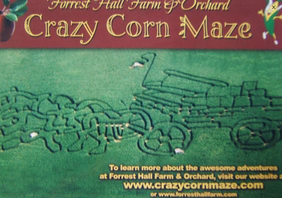 Forrest Hall Corn Maze 2017