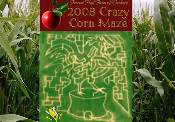 Forrest Hall Corn Maze 2020