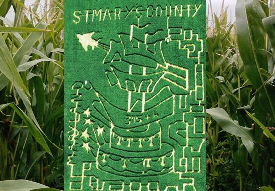 Forrest Hall Corn Maze 2017