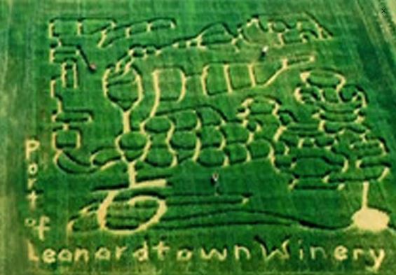 Forrest Hall Corn Maze 2019