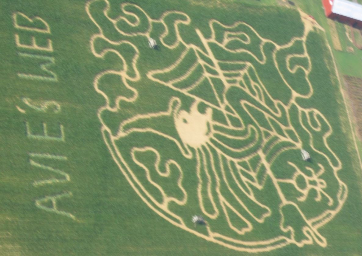 Forrest Hall Corn Maze 2020