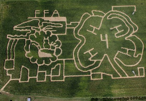 Forrest Hall Corn Maze 2017