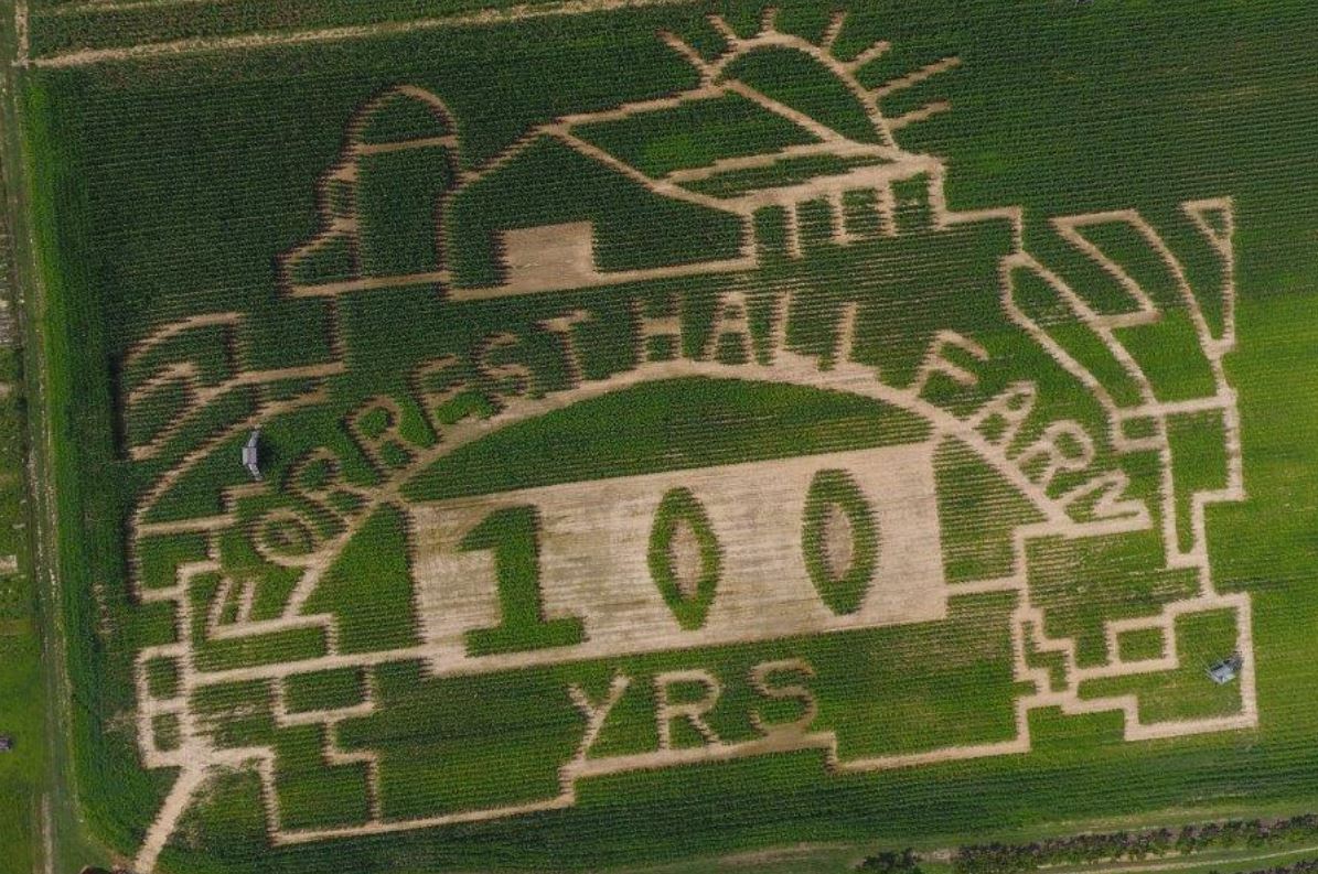 Forrest Hall Corn Maze 2020