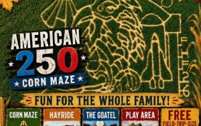 America 250 Corn Maze | Forrest Hall Farm & Orchard